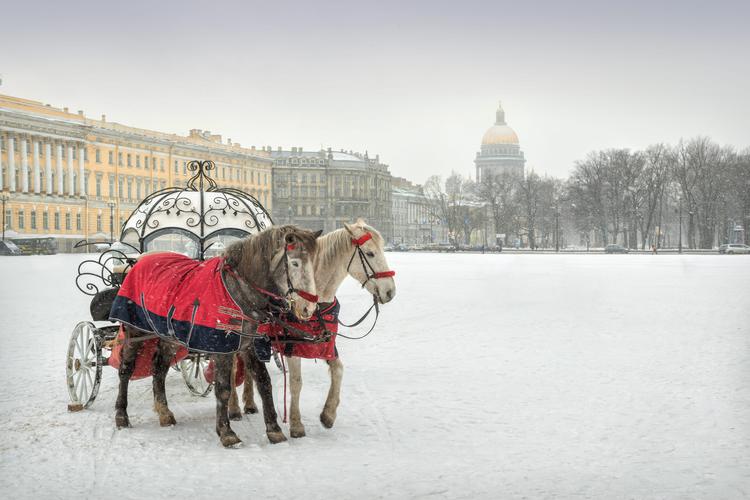 Автобус| Петербург под снежком: Новый год в сказке из Нижнего Новгорода