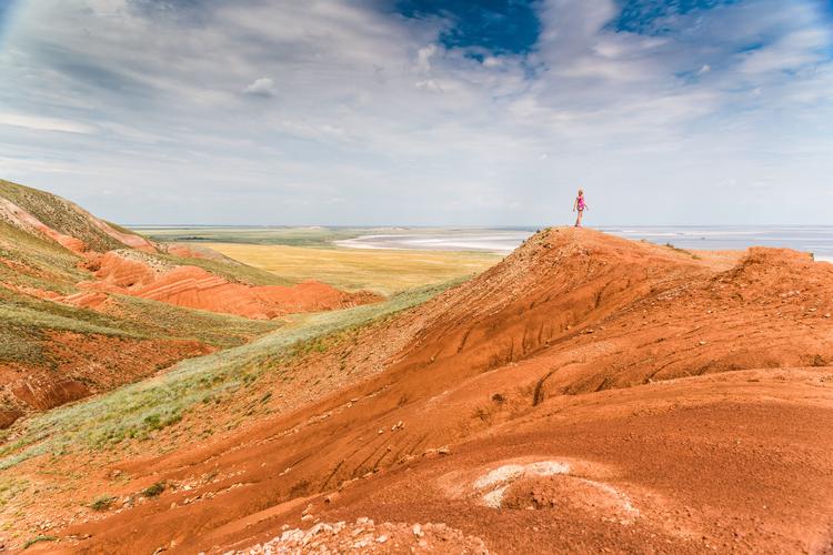 Цветение маков в Астрахани — море красного в сердце степи