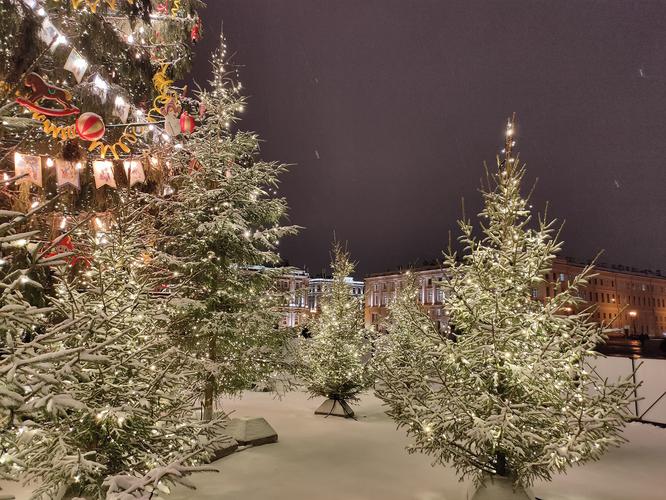 Петербург встречает Новый год: сказка, музыка и шампанское 7 дней