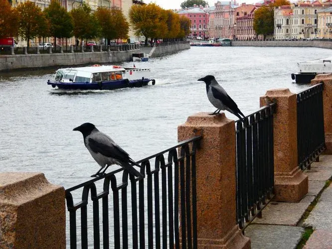 Дорога Жизни