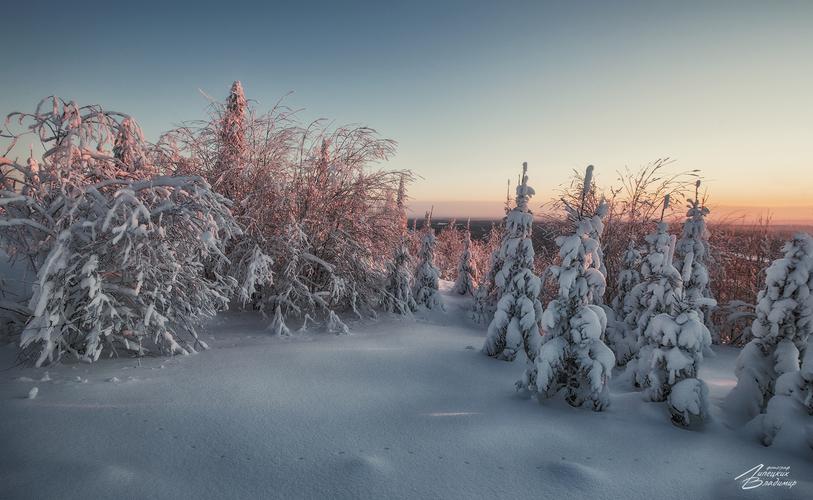 Автобус | Новогоднее путешествие по белорусским замкам и усадьбам из Нижнего Новгорода