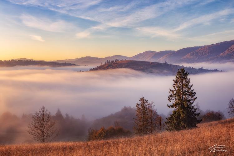 Автобус| Краснодар на Новый год: уют и колорит