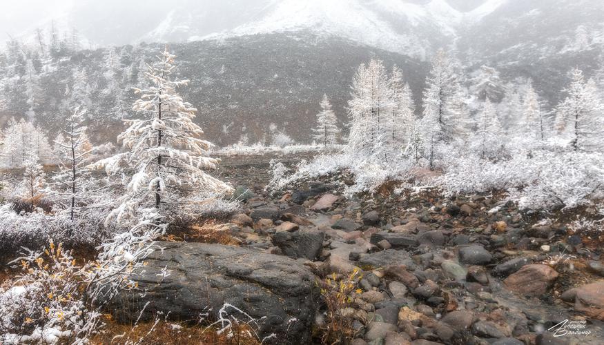 Алматы: сказка под снегом