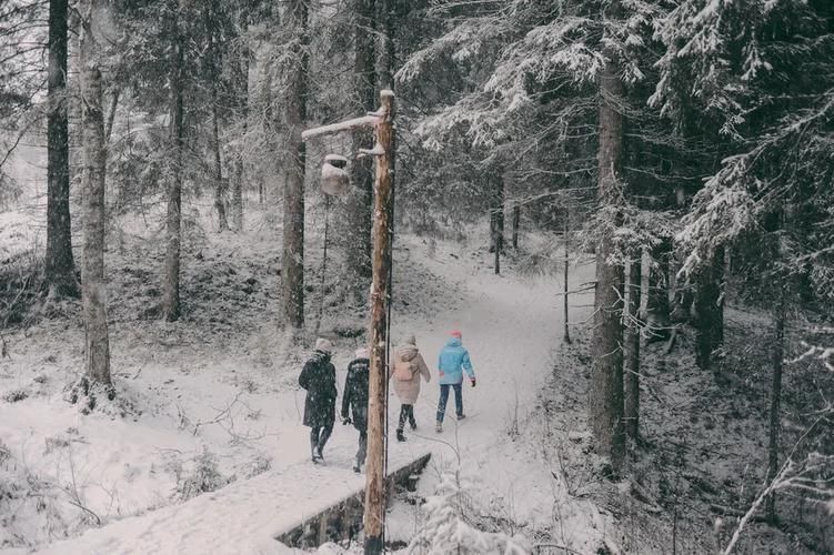 Карелия. От мраморных каньонов до русской бани