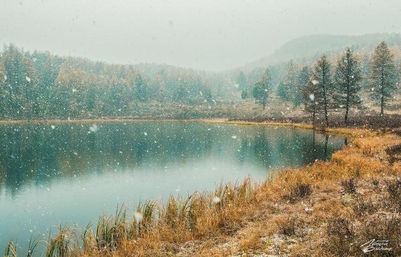 От первобытных рисунков до шекинских дворцов