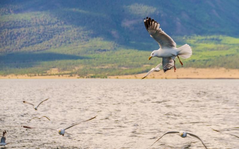 Ольхон: мистическая история острова