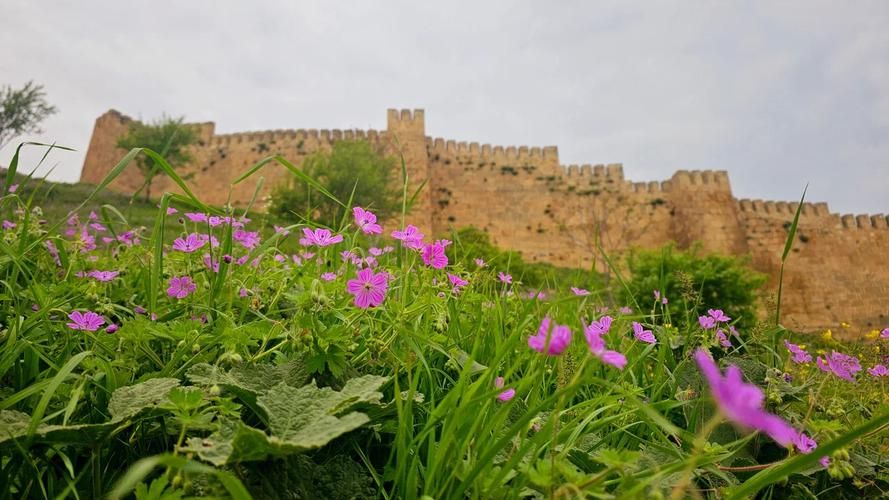 В объятиях кавказских гор