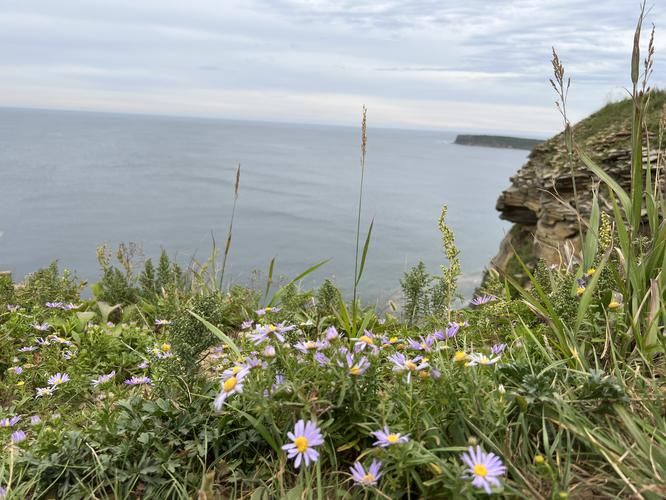 От моста до маяка: где архитектура дышит морем