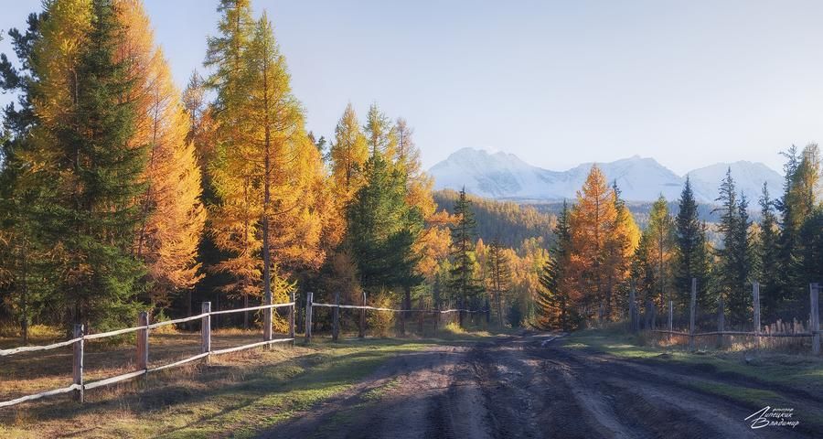 Мозаика сибирских впечатлений (промо)