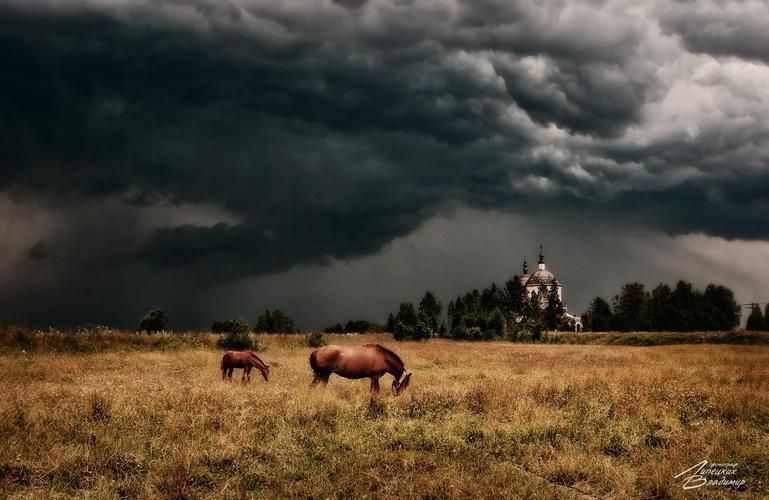 Автобус| Эрзя: земля, где живёт душа