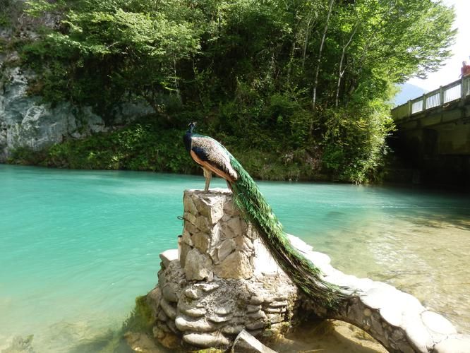 Абхазия. От горных озёр до кавказских шашлыков