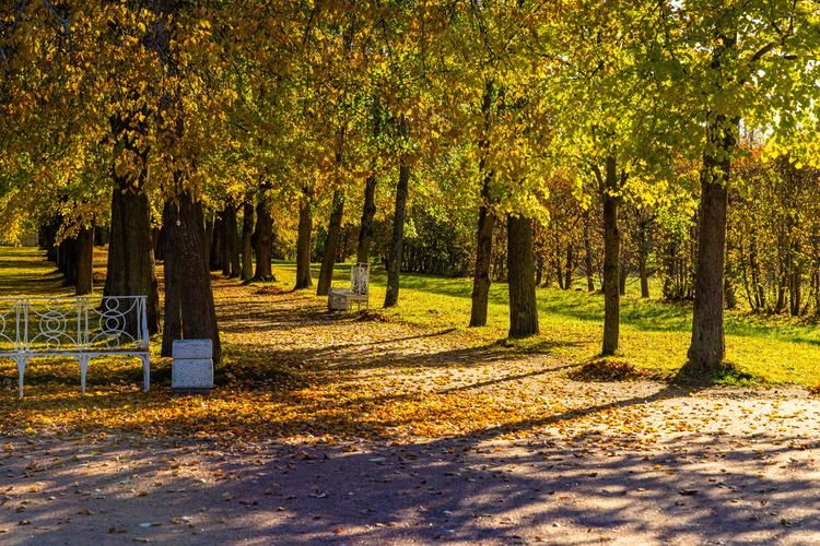 Автобус| В Аквапарк Лимпопо