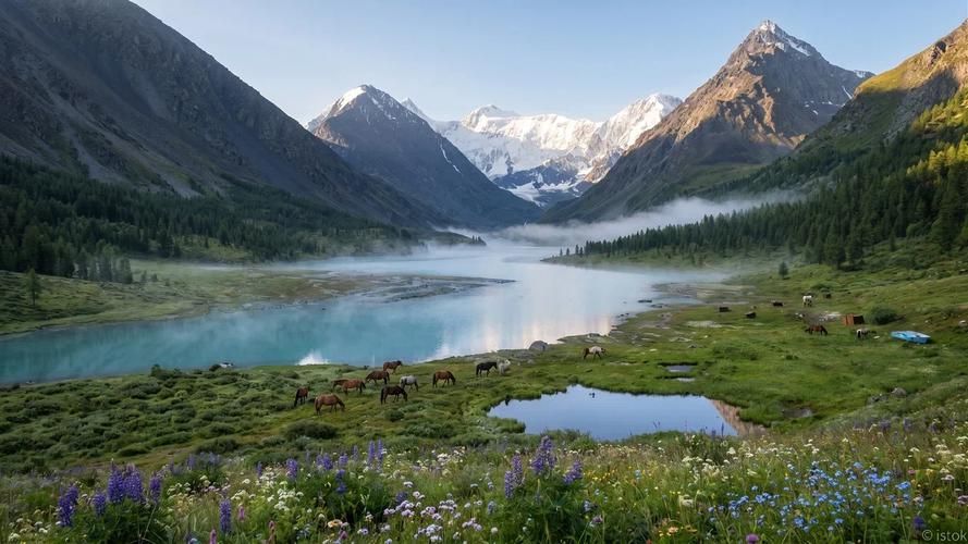 Сквозь туманы Горного Алтая