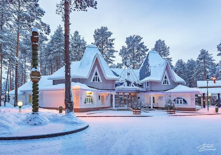 Поезд| Зимние каникулы у Деда Мороза