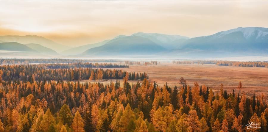 Алые долины Алтая: путешествие к жаркам из Нижнего Новгорода