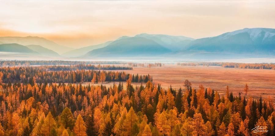 Золотая Алтайская цепь