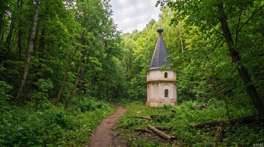 Поезд| Кавказ: встреча с величием гор из Саратова