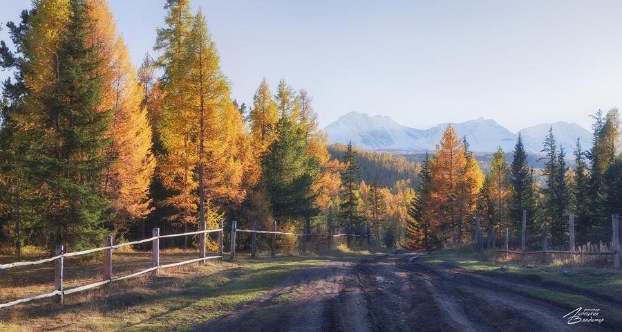 Снежные вершины Алтая