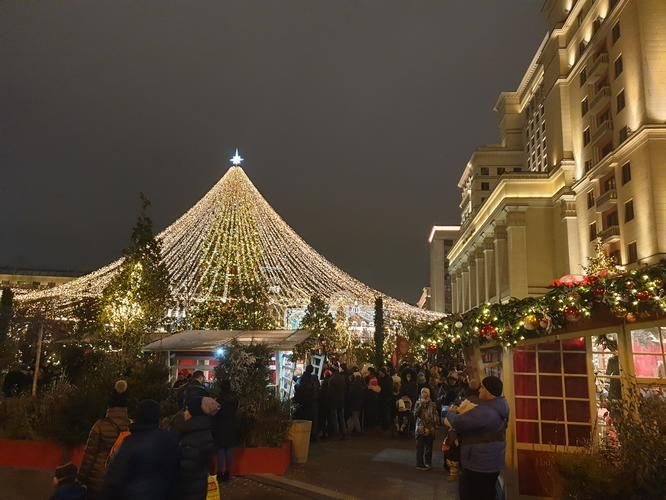 Хаски близко: откройте северный характер без дальних дорог