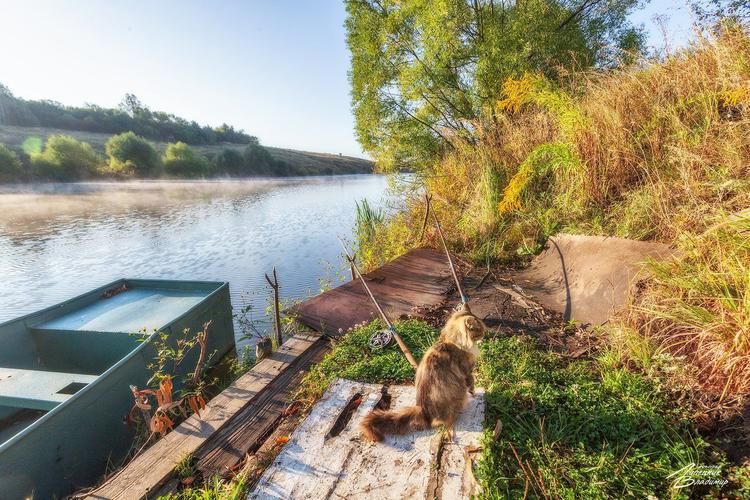 Белые ночи у самого Белого моря (промо)