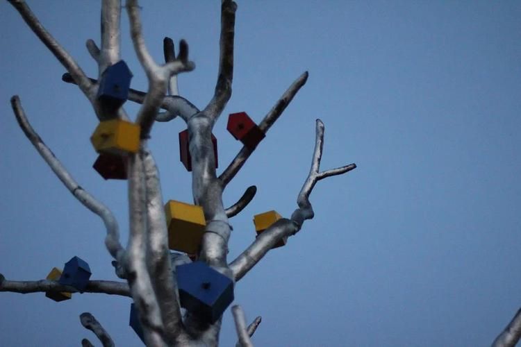 Автобус| Новогодние каникулы в Карелии: в гостях у зимнего волшебства из Воронежа