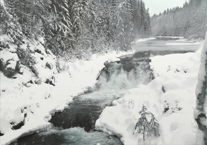 Яркий Новый год: от Петербурга до Карелии