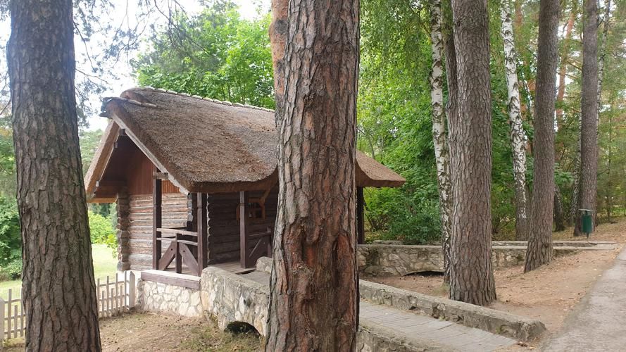 Автобус | Тихая Россия: тур в душу провинции